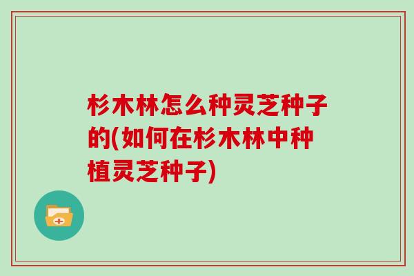 杉木林怎么种灵芝种子的(如何在杉木林中种植灵芝种子)