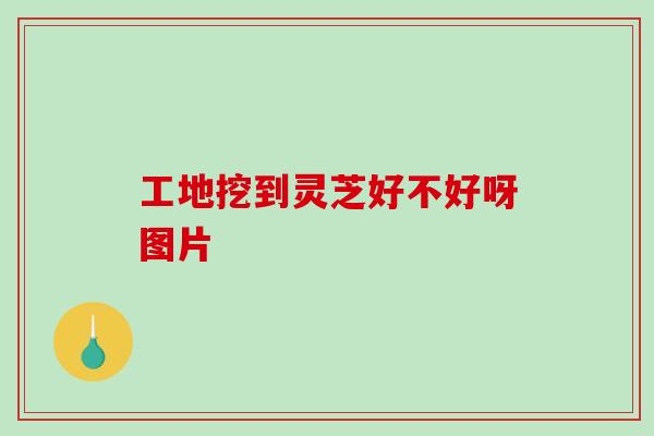 工地挖到灵芝好不好呀图片 工地挖到灵芝好不好呀图片