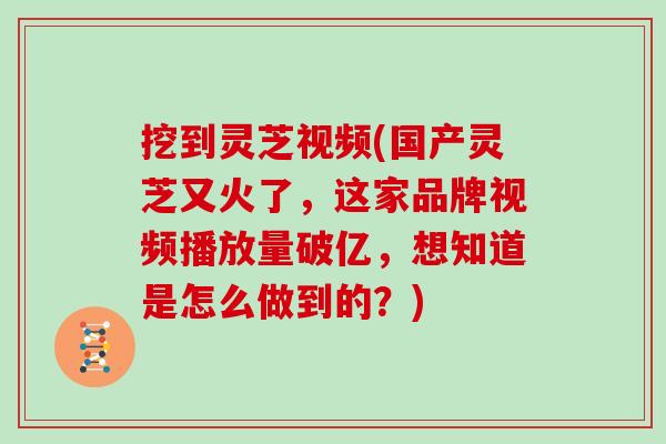 挖到灵芝视频(国产灵芝又火了,这家品牌视频播放量破亿,想知道是怎么做到的?) 挖到灵芝视频(国产灵芝又火了,这家品牌视频播放量破亿,想知道是怎么做到的?)