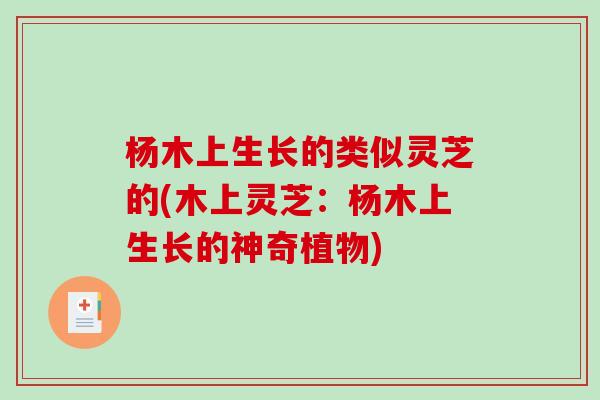 杨木上生长的类似灵芝的(木上灵芝:杨木上生长的神奇植物) 杨木上生长的类似灵芝的(木上灵芝:杨木上生长的神奇植物)