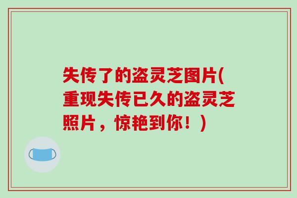 失传了的盗灵芝图片(重现失传已久的盗灵芝照片，惊艳到你！)