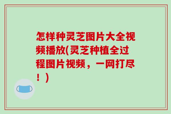 怎样种灵芝图片大全视频播放(灵芝种植全过程图片视频,一网打尽!) 怎样种灵芝图片大全视频播放(灵芝种植全过程图片视频,一网打尽!)