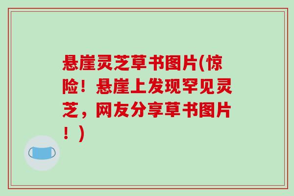 悬崖灵芝草书图片(惊险！悬崖上发现罕见灵芝，网友分享草书图片！)