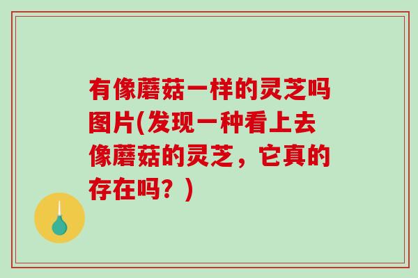 有像蘑菇一样的灵芝吗图片(发现一种看上去像蘑菇的灵芝,它真的存在吗?) 有像蘑菇一样的灵芝吗图片(发现一种看上去像蘑菇的灵芝,它真的存在吗?)