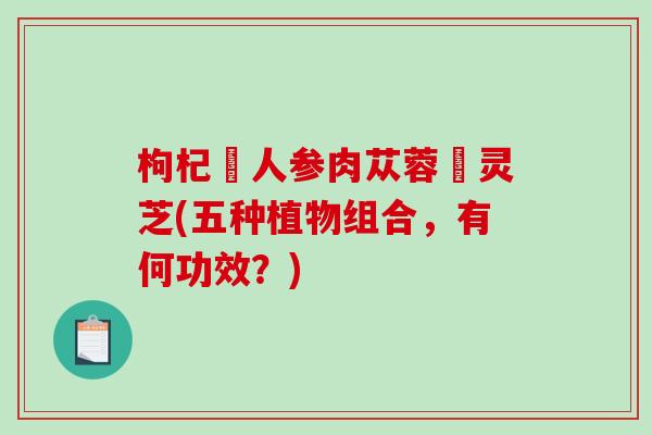枸杞苉人参肉苁蓉矴灵芝(五种植物组合，有何功效？)