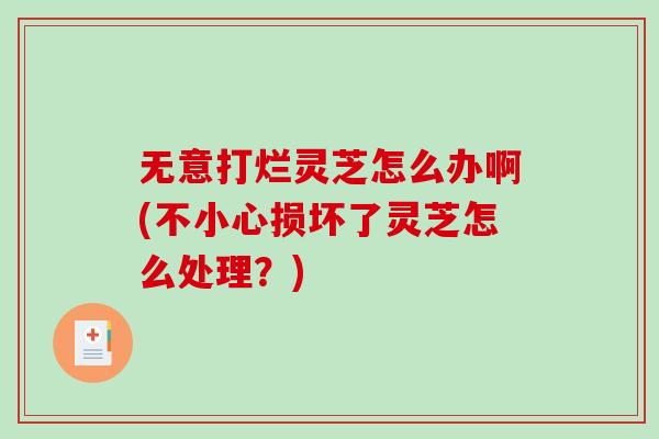 无意打烂灵芝怎么办啊(不小心损坏了灵芝怎么处理?) 无意打烂灵芝怎么办啊(不小心损坏了灵芝怎么处理?)