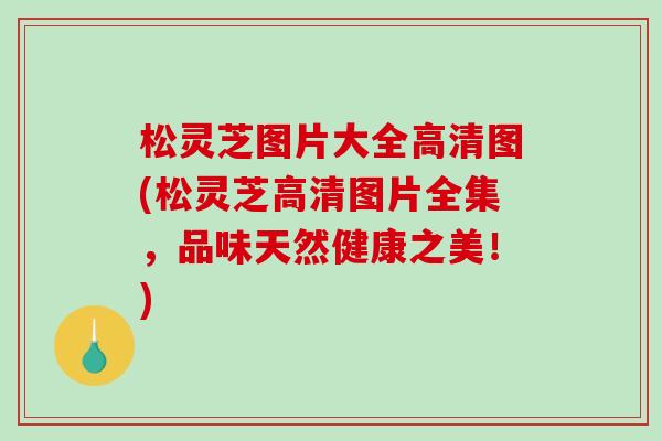 松灵芝图片大全高清图(松灵芝高清图片全集,品味天然健康之美!) 松灵芝图片大全高清图(松灵芝高清图片全集,品味天然健康之美!)