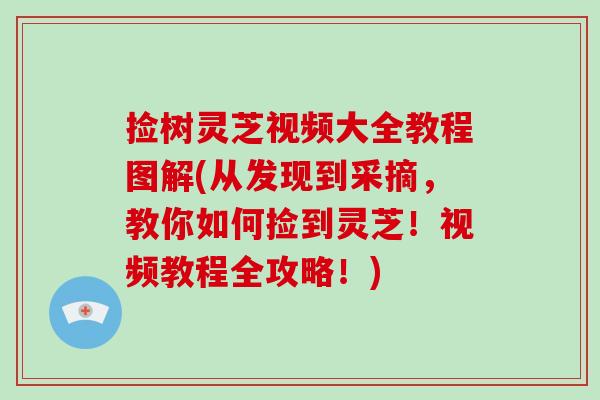 捡树灵芝视频大全教程图解(从发现到采摘，教你如何捡到灵芝！视频教程全攻略！)