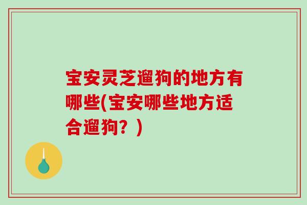 宝安灵芝遛狗的地方有哪些(宝安哪些地方适合遛狗？)