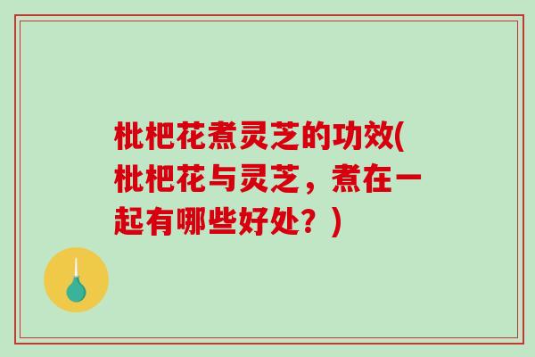 枇杷花煮灵芝的功效(枇杷花与灵芝,煮在一起有哪些好处?) 枇杷花煮灵芝的功效(枇杷花与灵芝,煮在一起有哪些好处?)