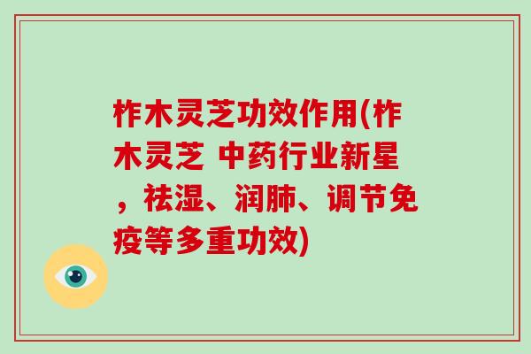 柞木灵芝功效作用(柞木灵芝 行业新星,祛湿、润、调节免疫等多重功效) 柞木灵芝功效作用(柞木灵芝 行业新星,祛湿、润、调节免疫等多重功效)