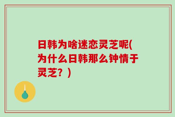 日韩为啥迷恋灵芝呢(为什么日韩那么钟情于灵芝?) 日韩为啥迷恋灵芝呢(为什么日韩那么钟情于灵芝?)