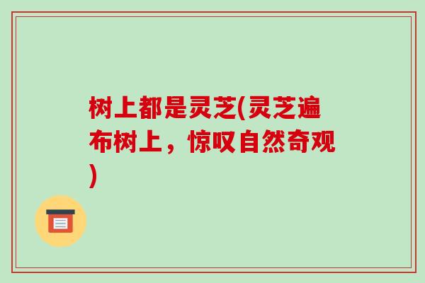 树上都是灵芝(灵芝遍布树上,惊叹自然奇观) 树上都是灵芝(灵芝遍布树上,惊叹自然奇观)