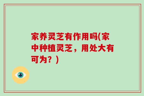 家养灵芝有作用吗(家中种植灵芝，用处大有可为？)
