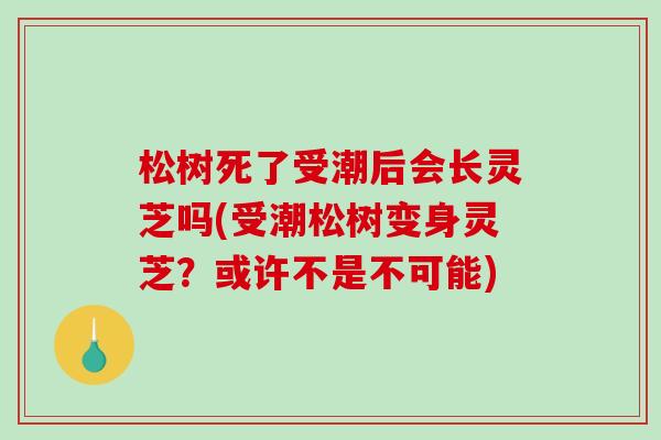 松树死了受潮后会长灵芝吗(受潮松树变身灵芝？或许不是不可能)
