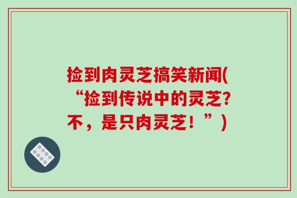 捡到肉灵芝搞笑新闻(“捡到传说中的灵芝?不,是只肉灵芝!”) 捡到肉灵芝搞笑新闻(“捡到传说中的灵芝?不,是只肉灵芝!”)