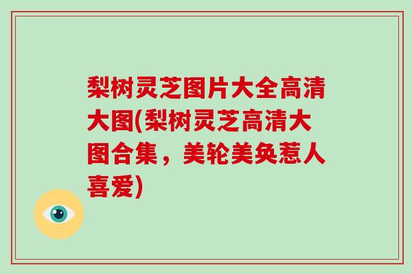 梨树灵芝图片大全高清大图(梨树灵芝高清大图合集，美轮美奂惹人喜爱)
