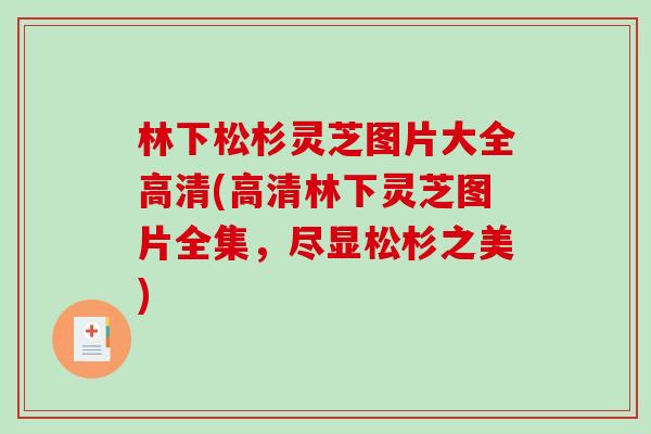 林下松杉灵芝图片大全高清(高清林下灵芝图片全集，尽显松杉之美)
