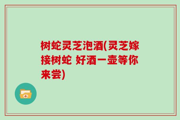 树蛇灵芝泡酒(灵芝嫁接树蛇 好酒一壶等你来尝)