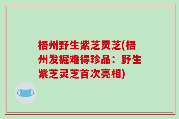 梧州野生紫芝灵芝(梧州发掘难得珍品：野生紫芝灵芝首次亮相)