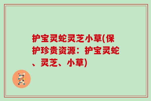 护宝灵蛇灵芝小草(保护珍贵资源：护宝灵蛇、灵芝、小草)