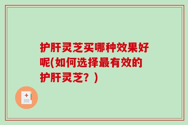 护肝灵芝买哪种效果好呢(如何选择最有效的护肝灵芝？)