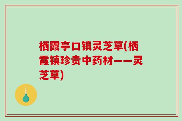 栖霞亭口镇灵芝草(栖霞镇珍贵材——灵芝草) 栖霞亭口镇灵芝草(栖霞镇珍贵材——灵芝草)