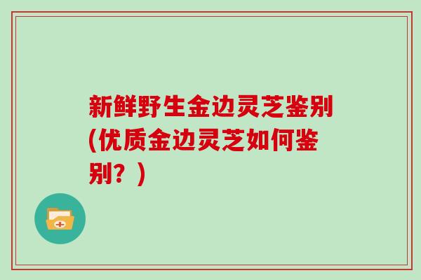 新鲜野生金边灵芝鉴别(优质金边灵芝如何鉴别？)