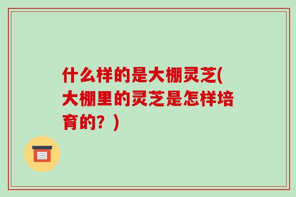 什么样的是大棚灵芝(大棚里的灵芝是怎样培育的？)