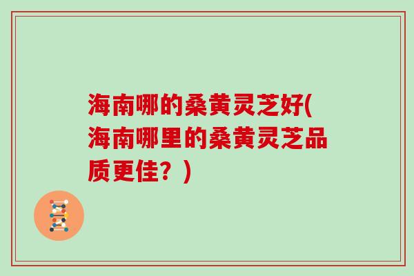 海南哪的桑黄灵芝好(海南哪里的桑黄灵芝品质更佳?) 海南哪的桑黄灵芝好(海南哪里的桑黄灵芝品质更佳?)
