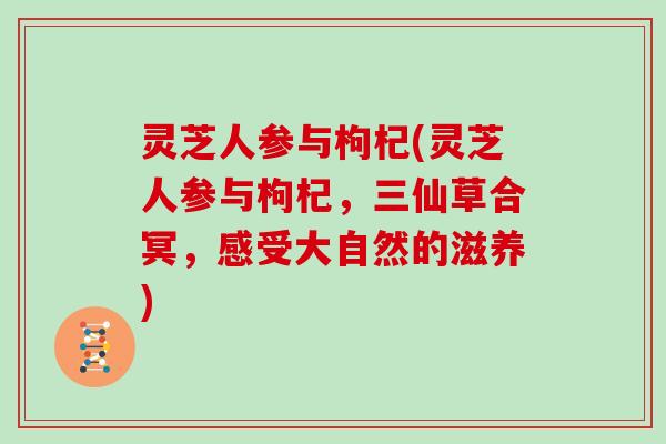 灵芝人参与枸杞(灵芝人参与枸杞,三仙草合冥,感受大自然的滋养) 灵芝人参与枸杞(灵芝人参与枸杞,三仙草合冥,感受大自然的滋养)