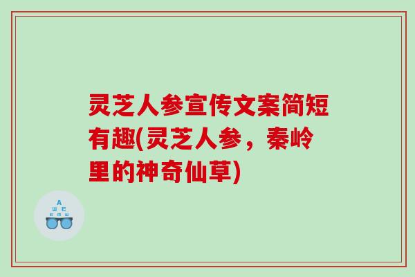 灵芝人参宣传文案简短有趣(灵芝人参，秦岭里的神奇仙草)