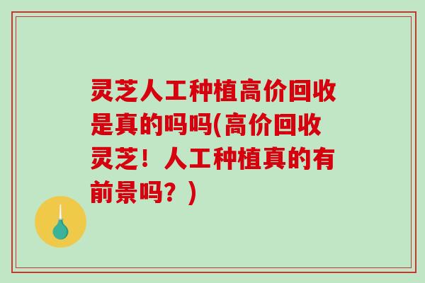灵芝人工种植高价回收是真的吗吗(高价回收灵芝！人工种植真的有前景吗？)