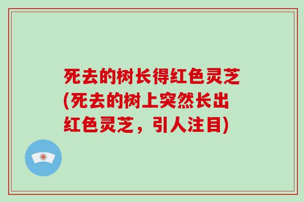 死去的树长得红色灵芝(死去的树上突然长出红色灵芝，引人注目)