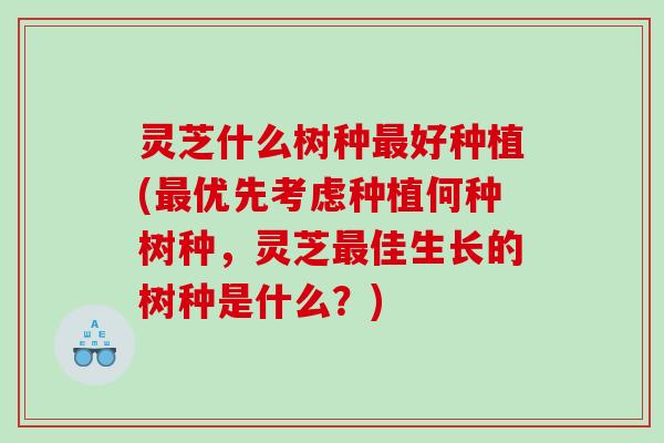 灵芝什么树种好种植(优先考虑种植何种树种,灵芝佳生长的树种是什么?) 灵芝什么树种好种植(优先考虑种植何种树种,灵芝佳生长的树种是什么?)