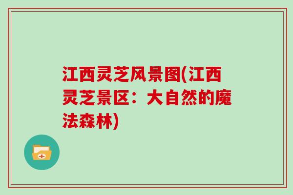 江西灵芝风景图(江西灵芝景区：大自然的魔法森林)