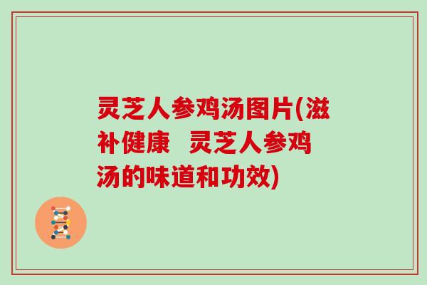 灵芝人参鸡汤图片(滋补健康 灵芝人参鸡汤的味道和功效) 灵芝人参鸡汤图片(滋补健康 灵芝人参鸡汤的味道和功效)