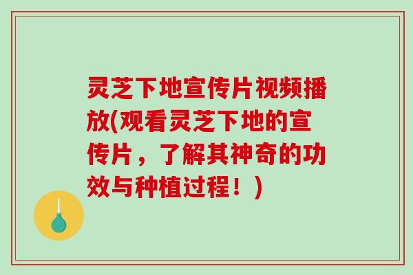 灵芝下地宣传片视频播放(观看灵芝下地的宣传片,了解其神奇的功效与种植过程!) 灵芝下地宣传片视频播放(观看灵芝下地的宣传片,了解其神奇的功效与种植过程!)