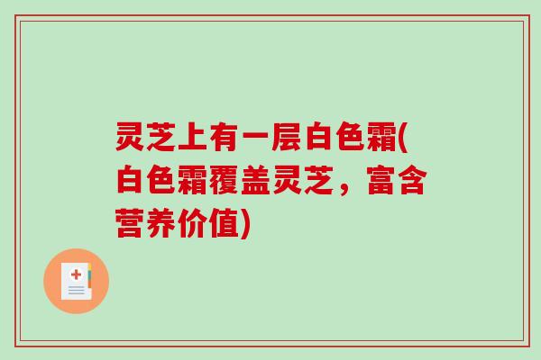 灵芝上有一层白色霜(白色霜覆盖灵芝,富含营养价值) 灵芝上有一层白色霜(白色霜覆盖灵芝,富含营养价值)