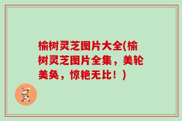 榆树灵芝图片大全(榆树灵芝图片全集,美轮美奂,惊艳无比!) 榆树灵芝图片大全(榆树灵芝图片全集,美轮美奂,惊艳无比!)