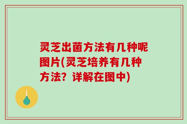 灵芝出菌方法有几种呢图片(灵芝培养有几种方法？详解在图中)