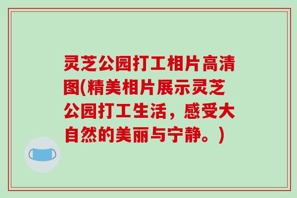 灵芝公园打工相片高清图(精美相片展示灵芝公园打工生活,感受大自然的美丽与宁静。) 灵芝公园打工相片高清图(精美相片展示灵芝公园打工生活,感受大自然的美丽与宁静。)
