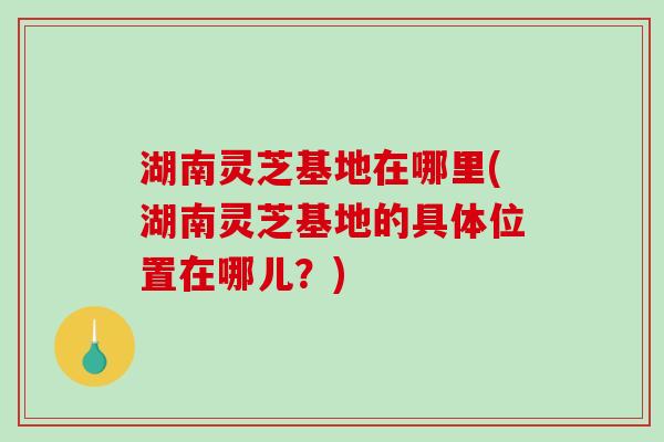 湖南灵芝基地在哪里(湖南灵芝基地的具体位置在哪儿？)