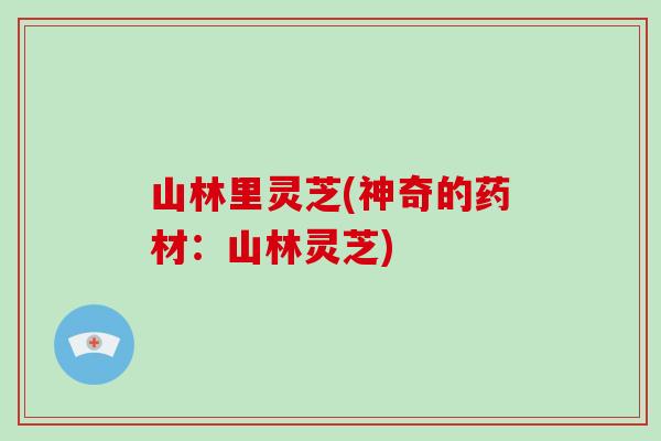 山林里灵芝(神奇的药材:山林灵芝) 山林里灵芝(神奇的药材:山林灵芝)
