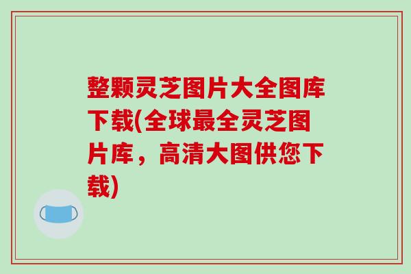 整颗灵芝图片大全图库下载(全球最全灵芝图片库，高清大图供您下载)