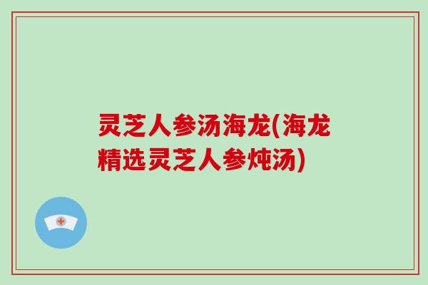 灵芝人参汤海龙(海龙精选灵芝人参炖汤)