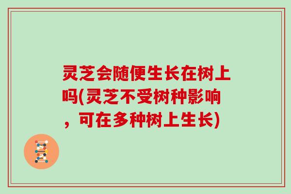 灵芝会随便生长在树上吗(灵芝不受树种影响，可在多种树上生长)