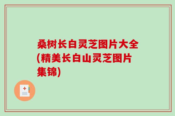 桑树长白灵芝图片大全(精美长白山灵芝图片集锦) 桑树长白灵芝图片大全(精美长白山灵芝图片集锦)