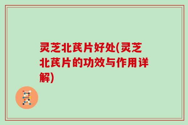 灵芝北芪片好处(灵芝北芪片的功效与作用详解)