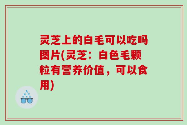 灵芝上的白毛可以吃吗图片(灵芝:白色毛颗粒有营养价值,可以食用) 灵芝上的白毛可以吃吗图片(灵芝:白色毛颗粒有营养价值,可以食用)